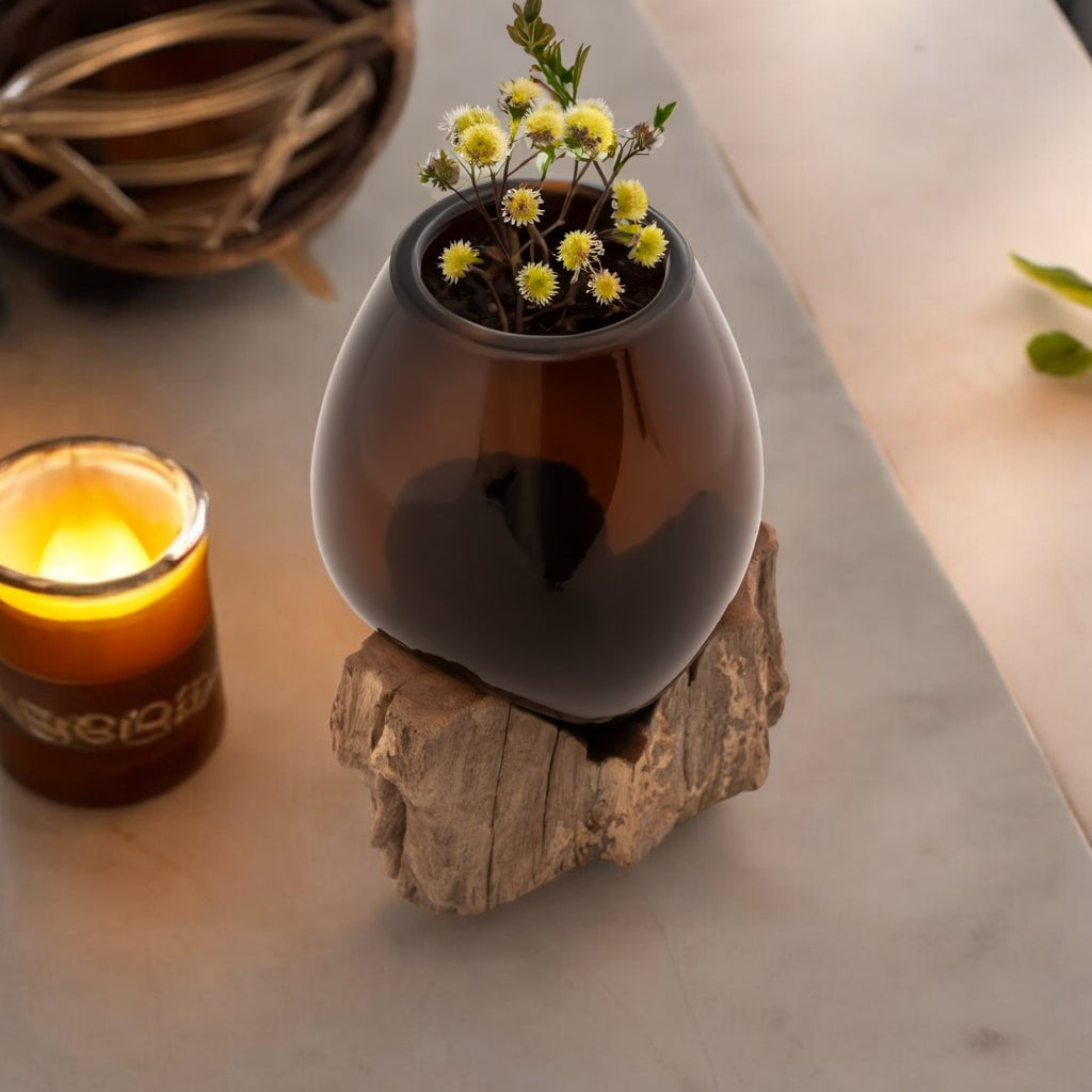 Round Chocolate Glass Aquarium on wood image 1