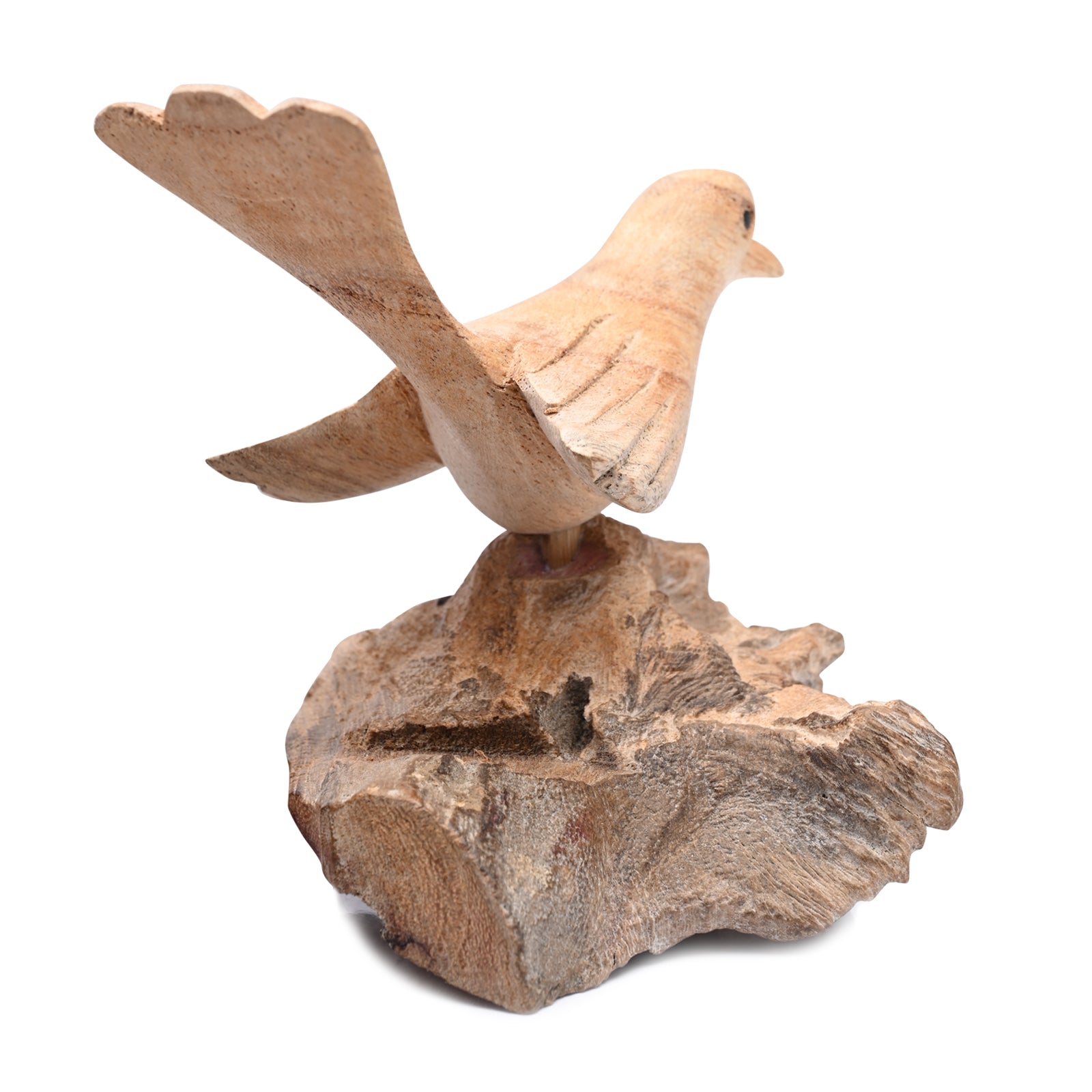 Single Bird on Nest image 3