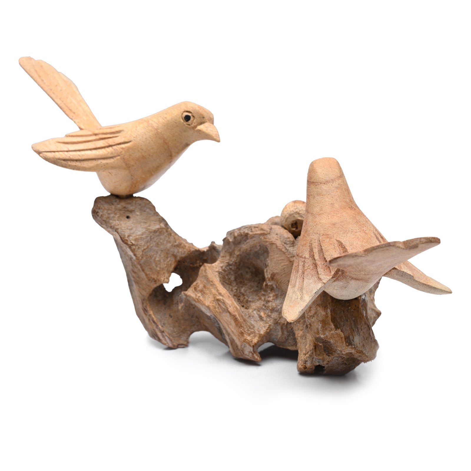 Two Birds on Nest image 3