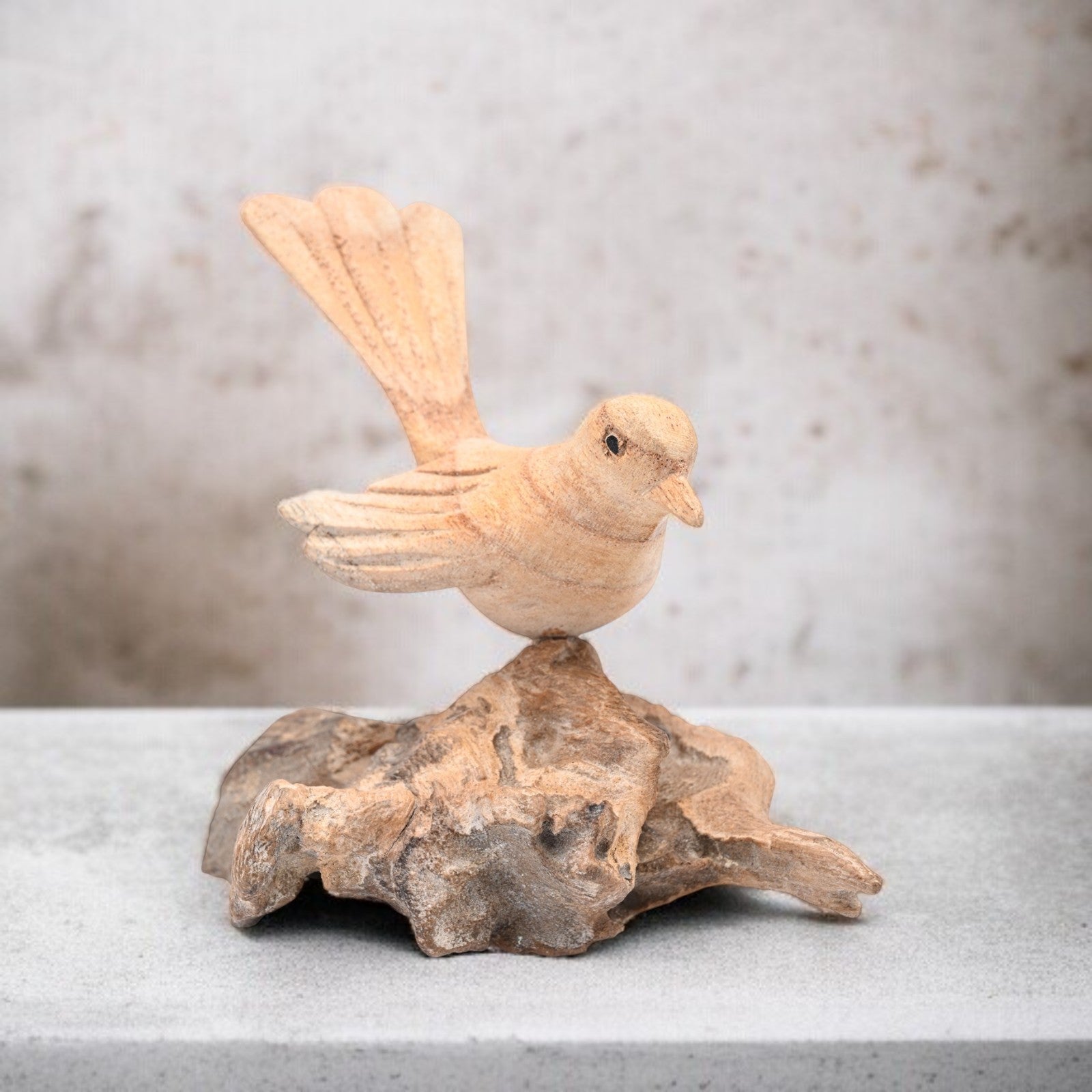 Single Bird on Nest image 4