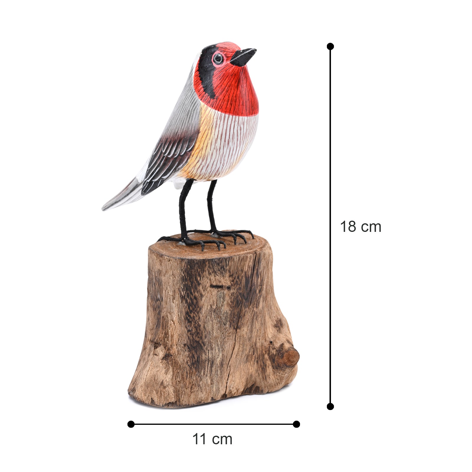 Rainbow Finch image 4