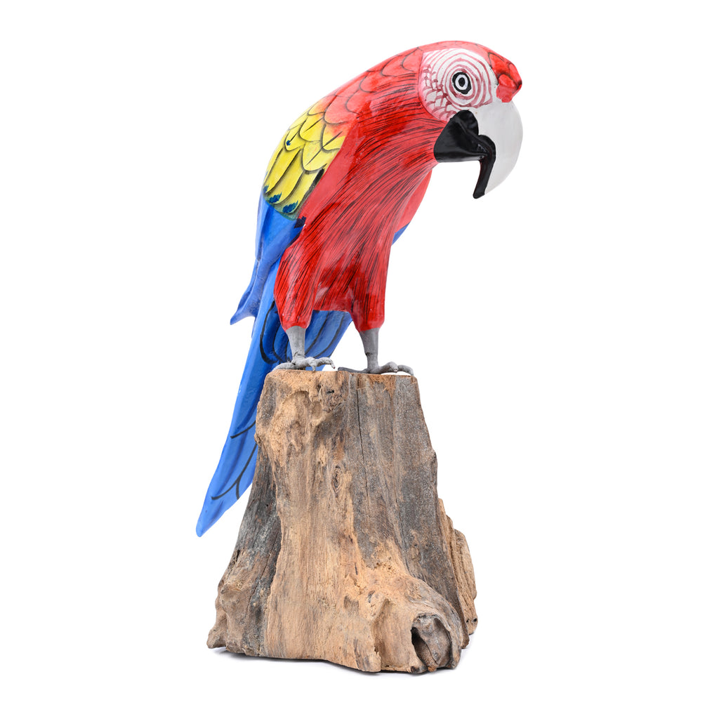 Scarlet Macaw image 2