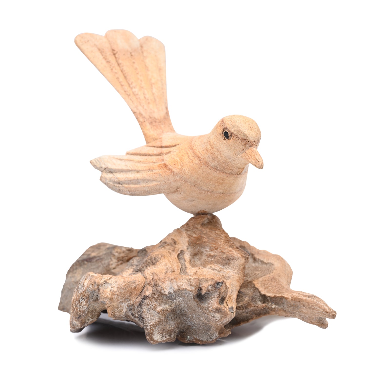 Single Bird on Nest image 2