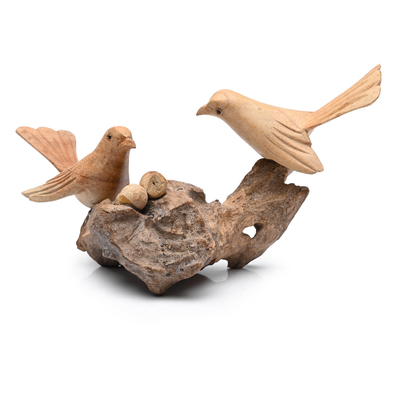 Two Birds on Nest image 0