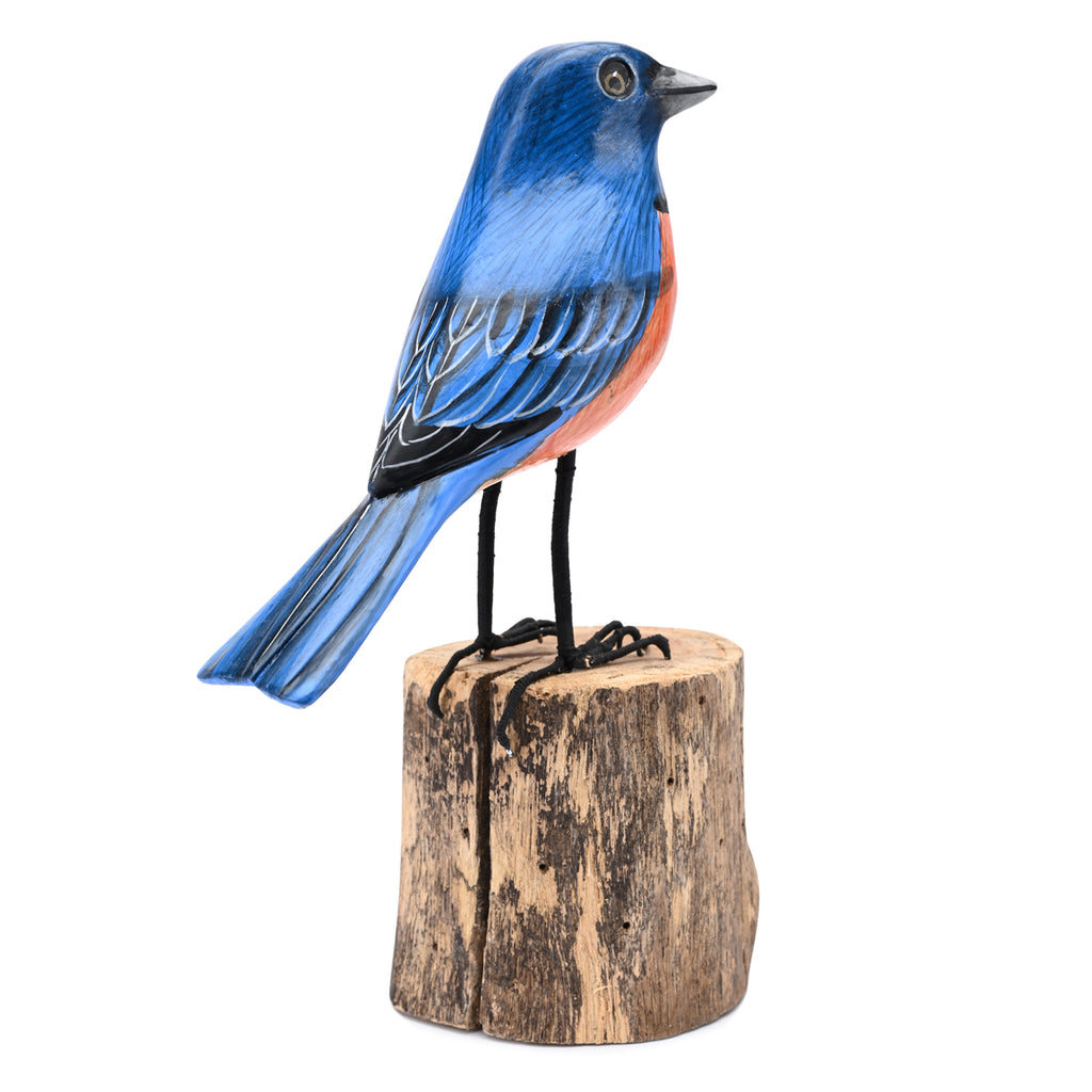 Bluebird image 2