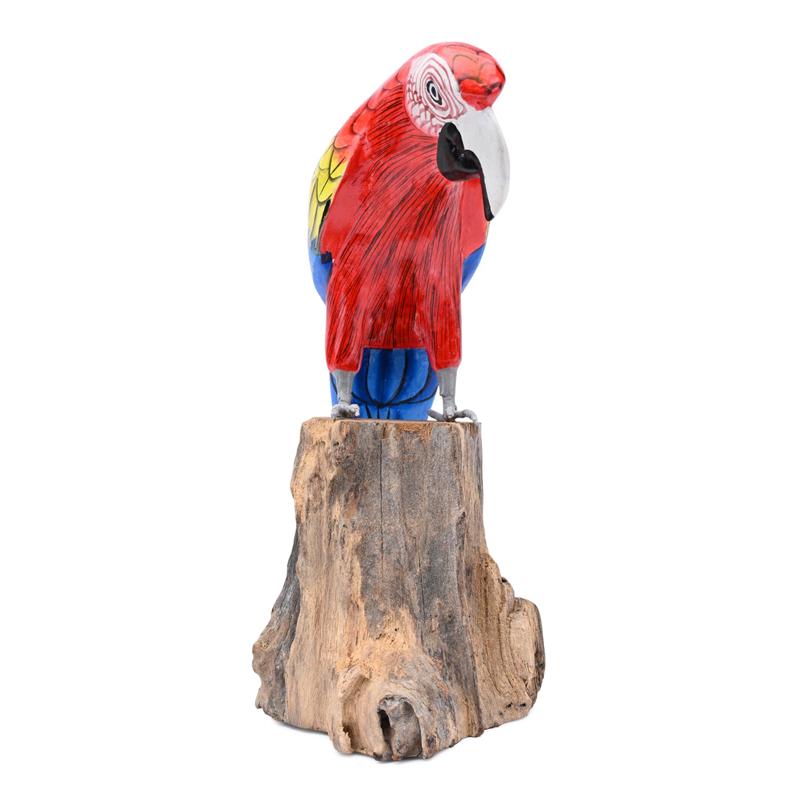 Scarlet Macaw image 1