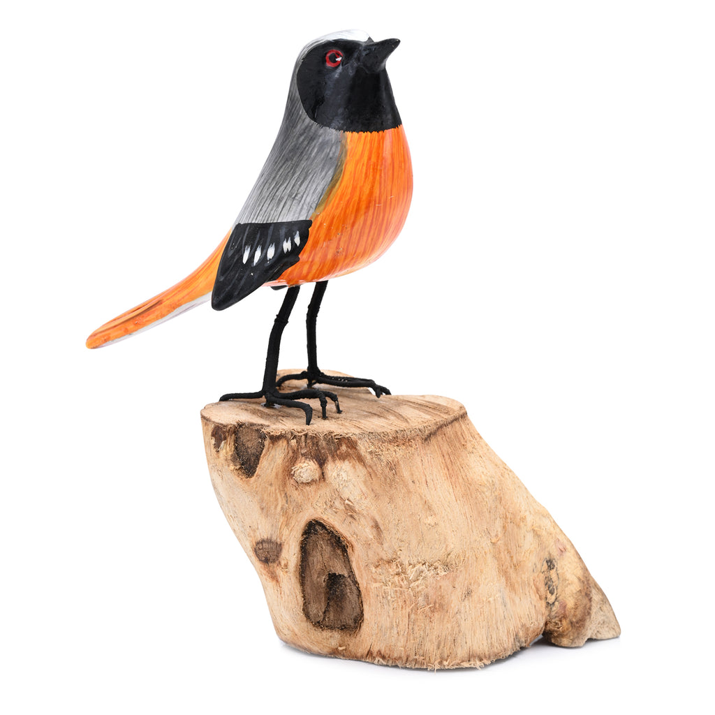 Redstart image 1
