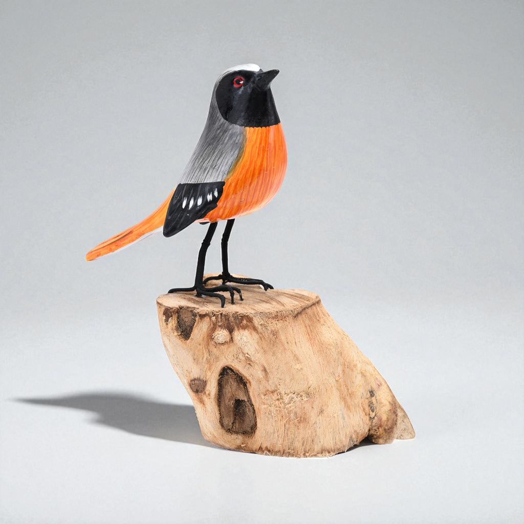 Redstart image 6