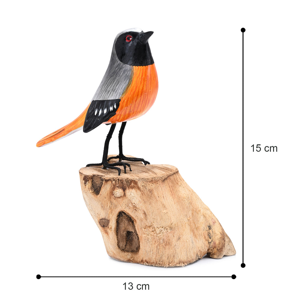 Redstart image 2