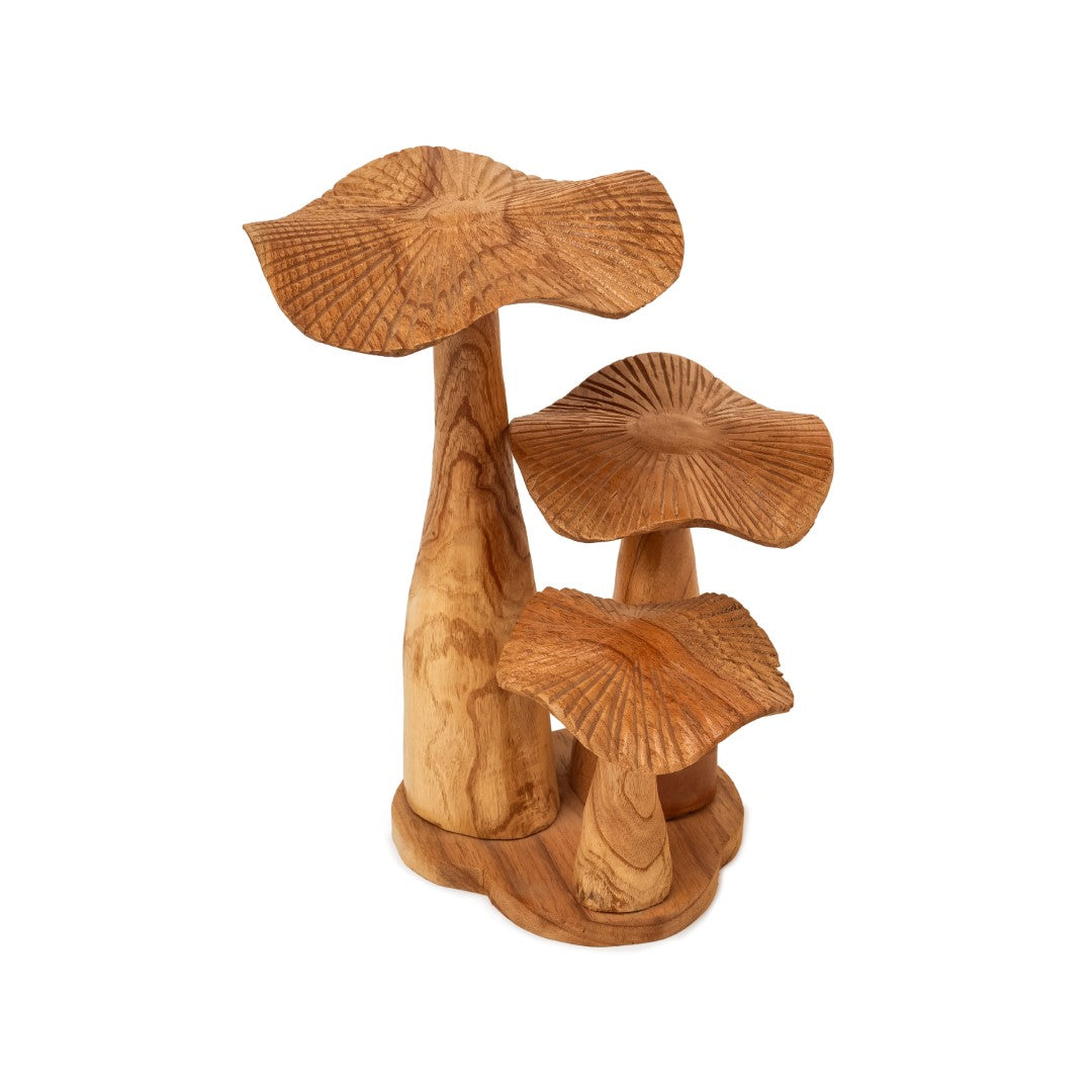 Wooden Mushroom Natural image 0