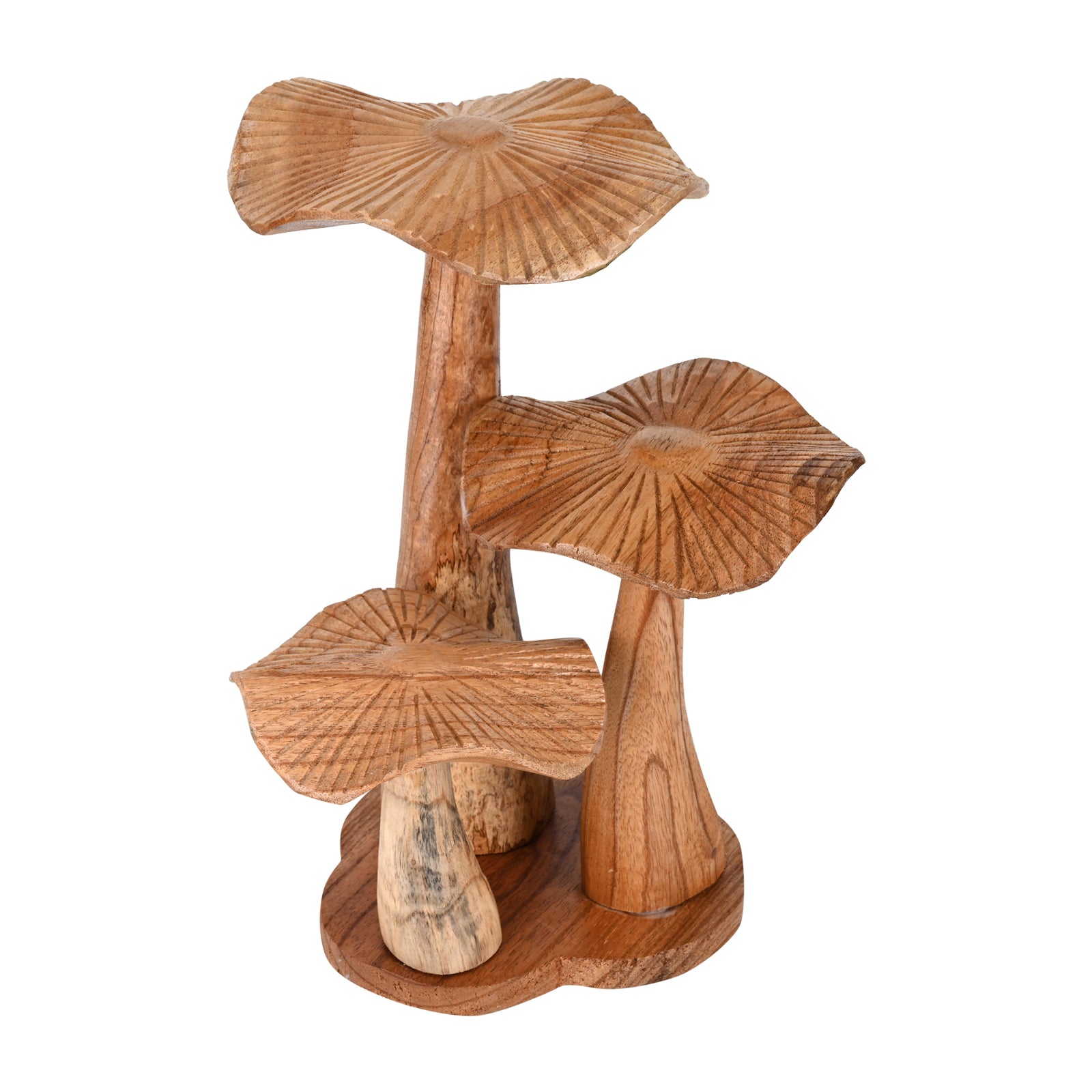 Wooden Mushroom Natural image 4