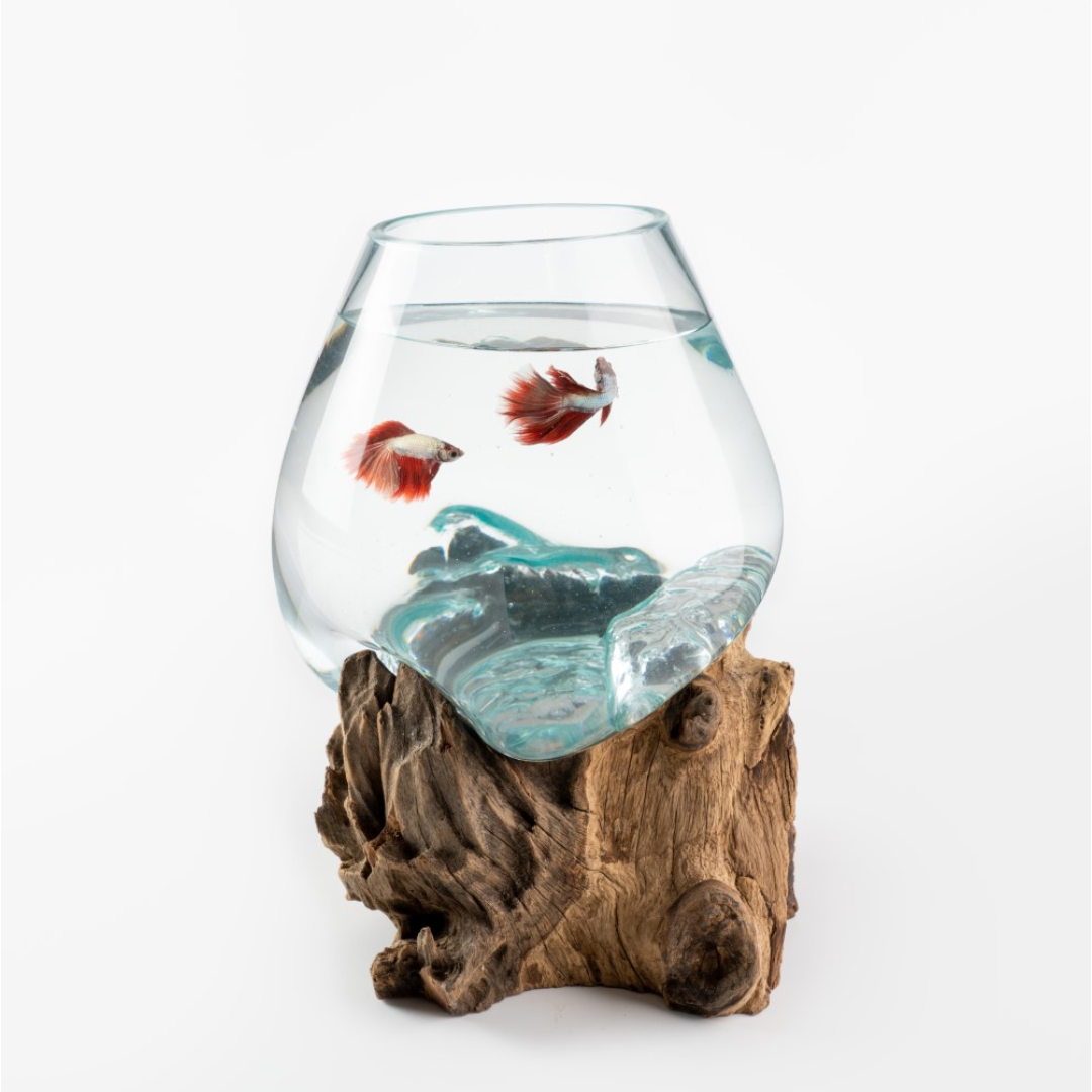 NaturaAqua Harmony: Elevated Glass Aquarium on Wooden Base (Medium) image 0