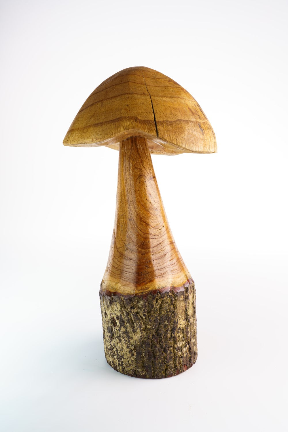 Mushroom Round image 0
