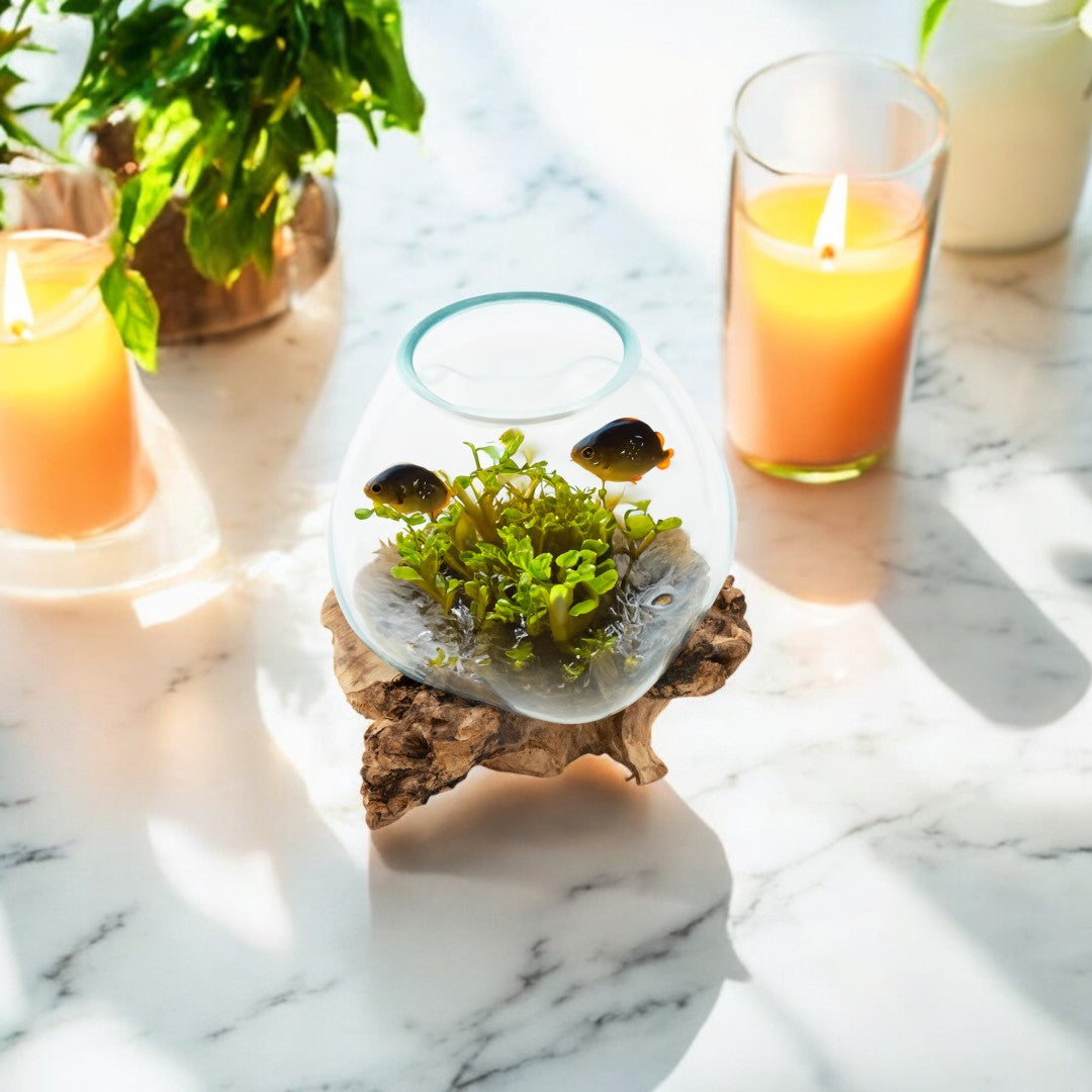 Glass Aquarium melted on Wood (Natural Wood finish) Glass Aquarium on Natural Drift wood (SMALL) image 1