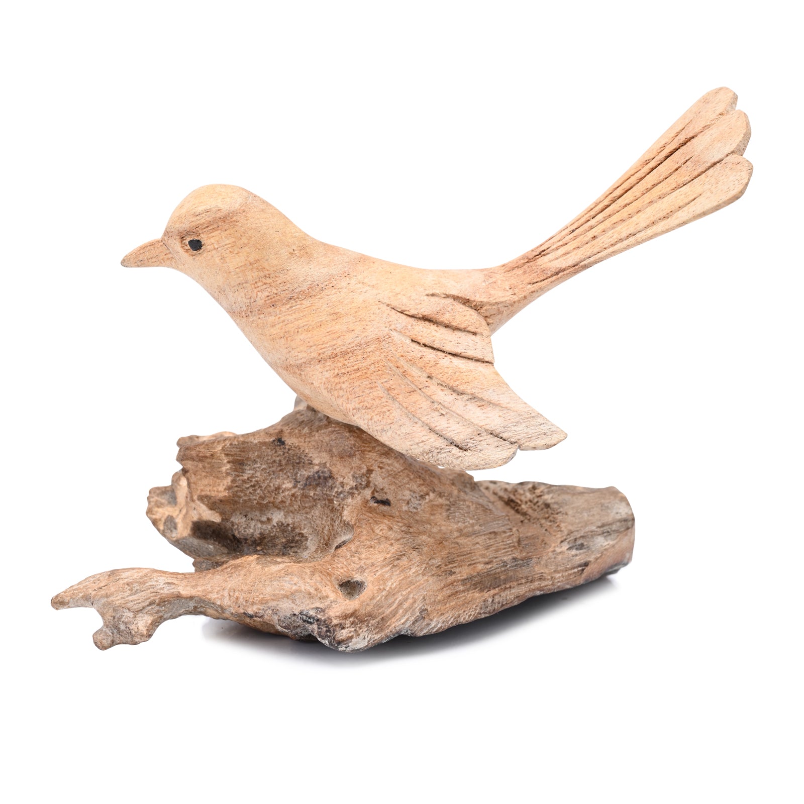 Single Bird on Nest image 0