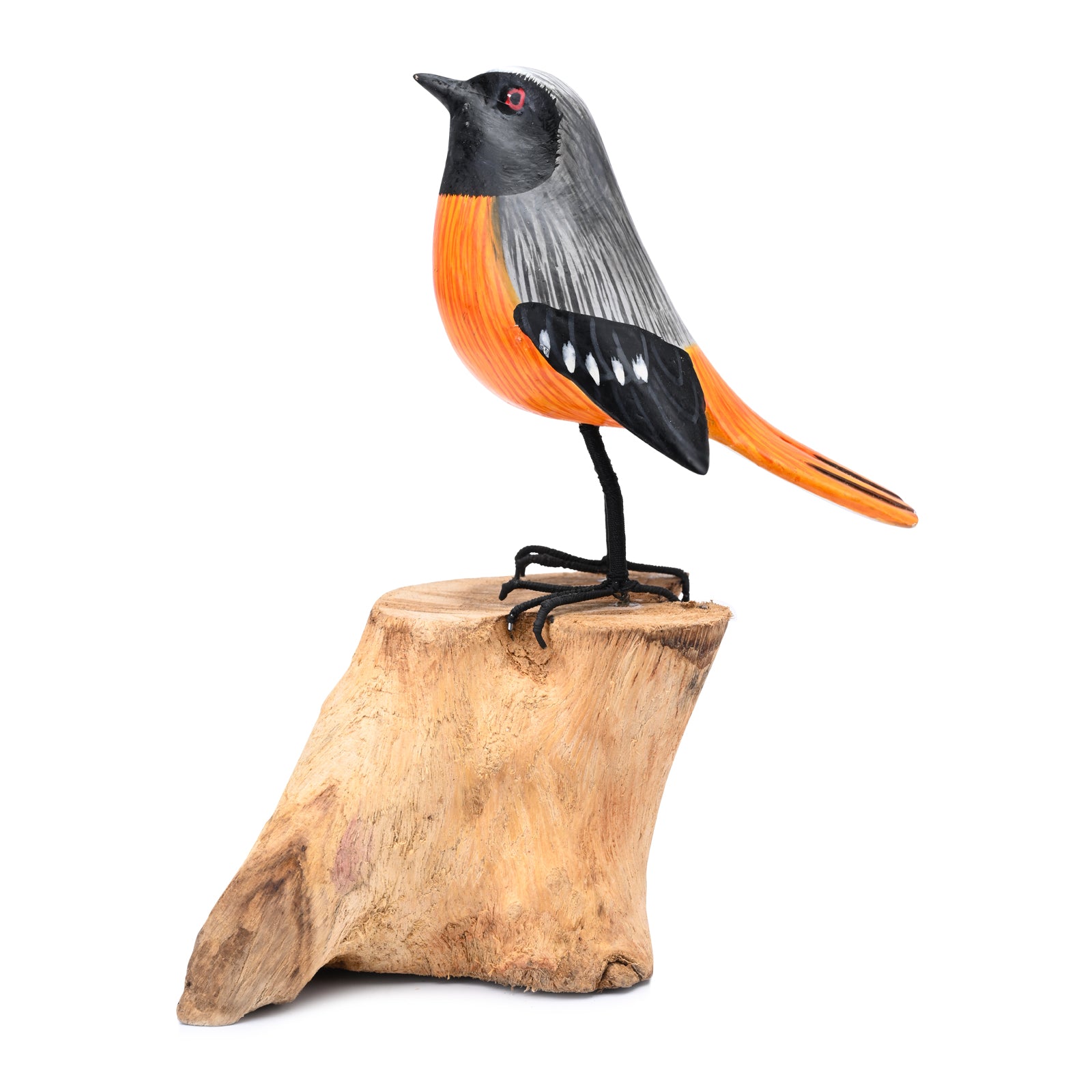 Redstart image 4