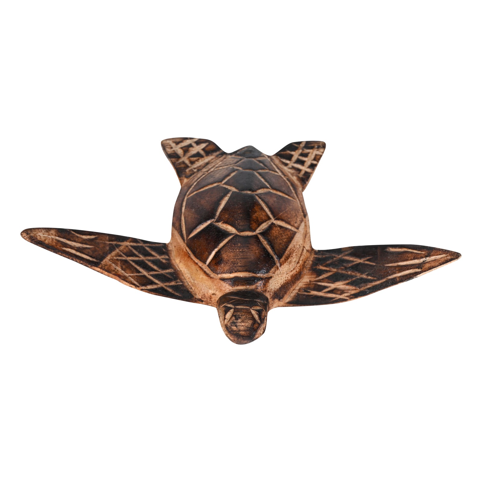 Brown Turtle (Single)