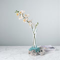 Molten Aqua Glass Bud Vase Root Wood Base