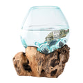 Glass Aquarium melted on Wood (Natural Wood finish) Glass Aquarium on Natural Drift wood