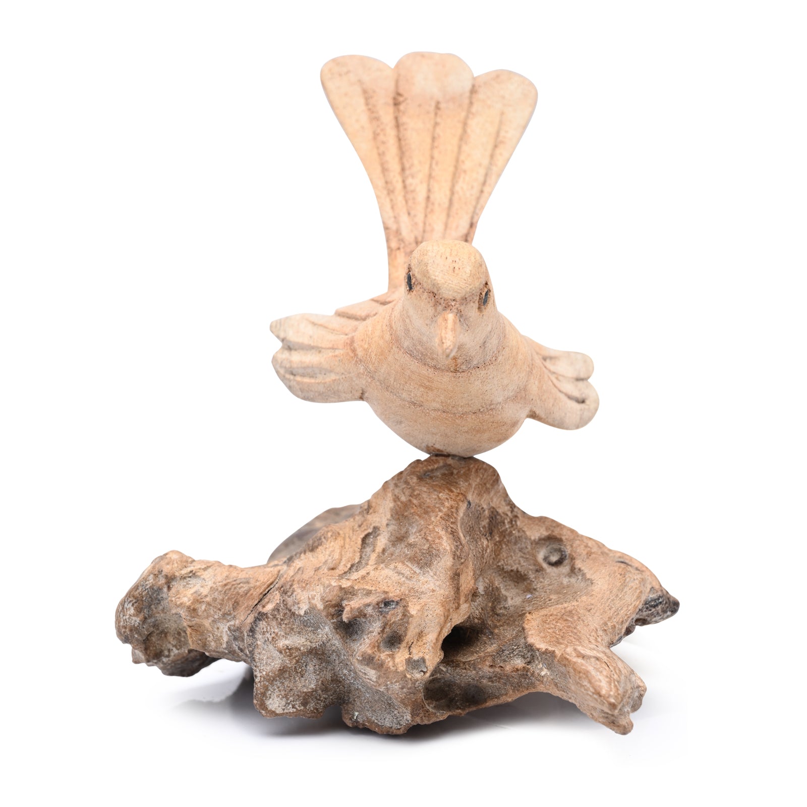 Single Bird on Nest image 1