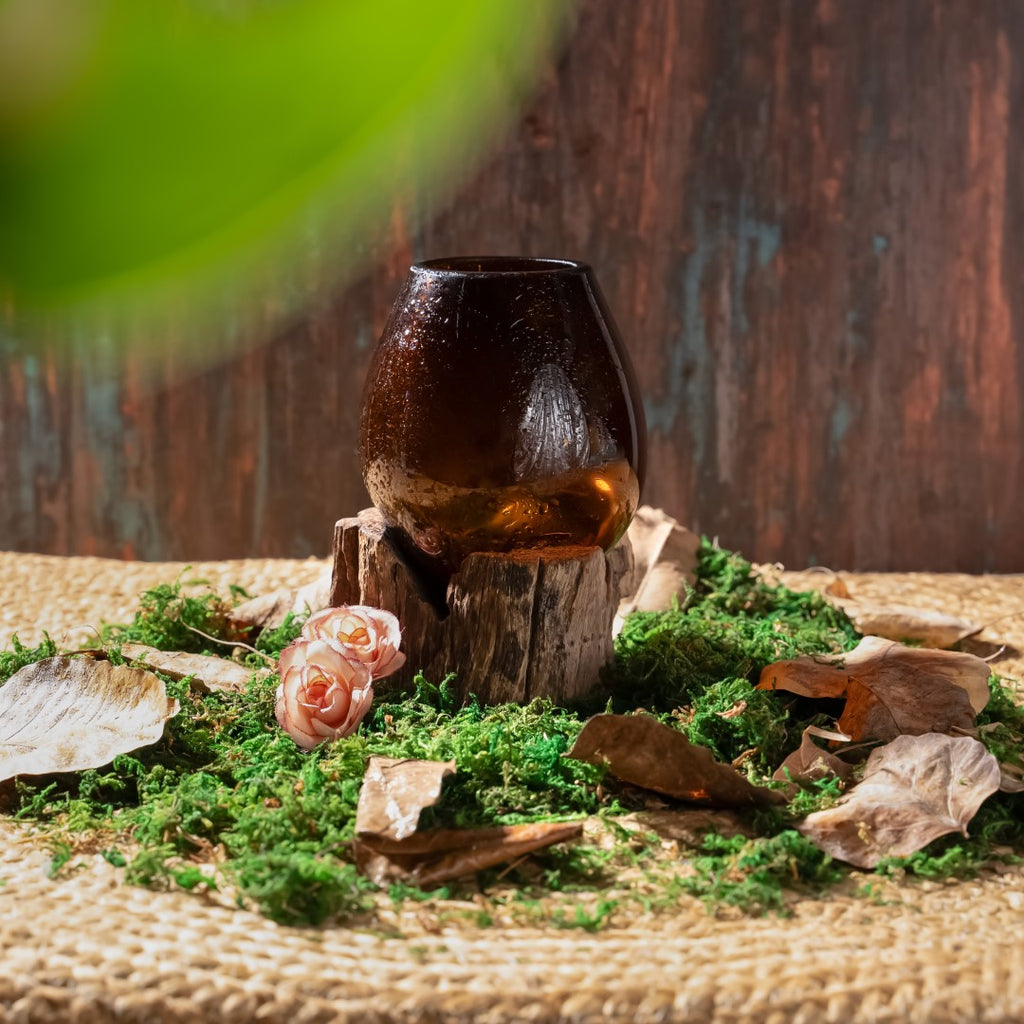 Round Chocolate Glass Aquarium on wood image 3