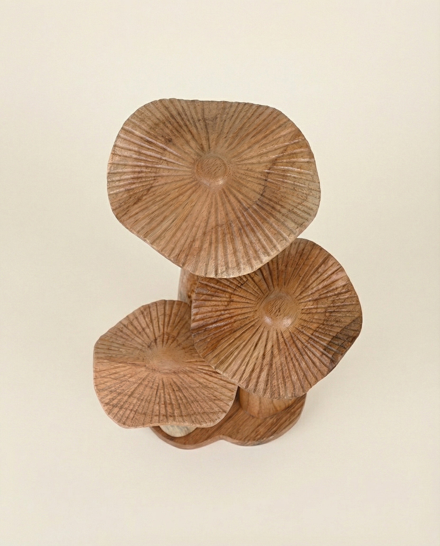 Wooden Mushroom
