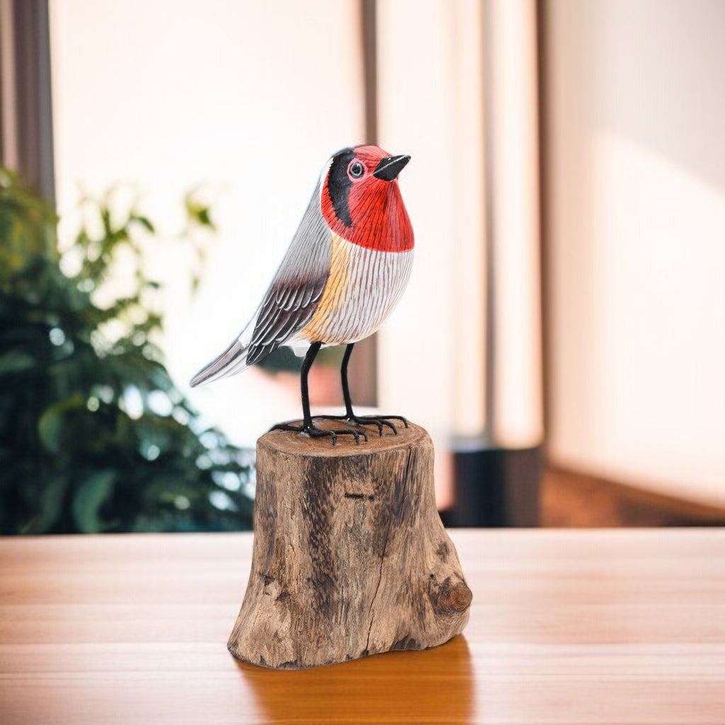 Rainbow Finch image 5