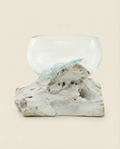 Glass Bowl on Wood | White Wood