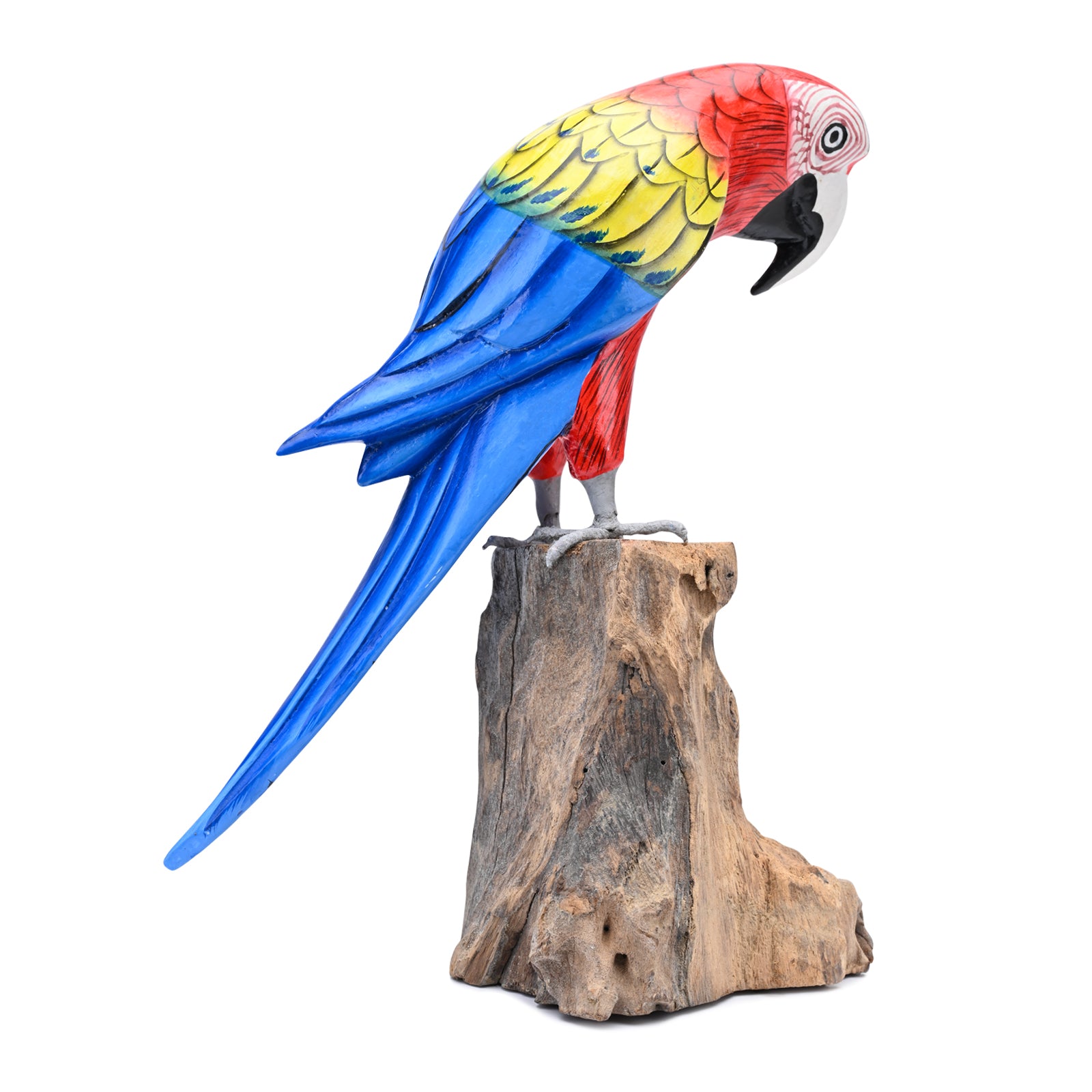 Scarlet Macaw image 3