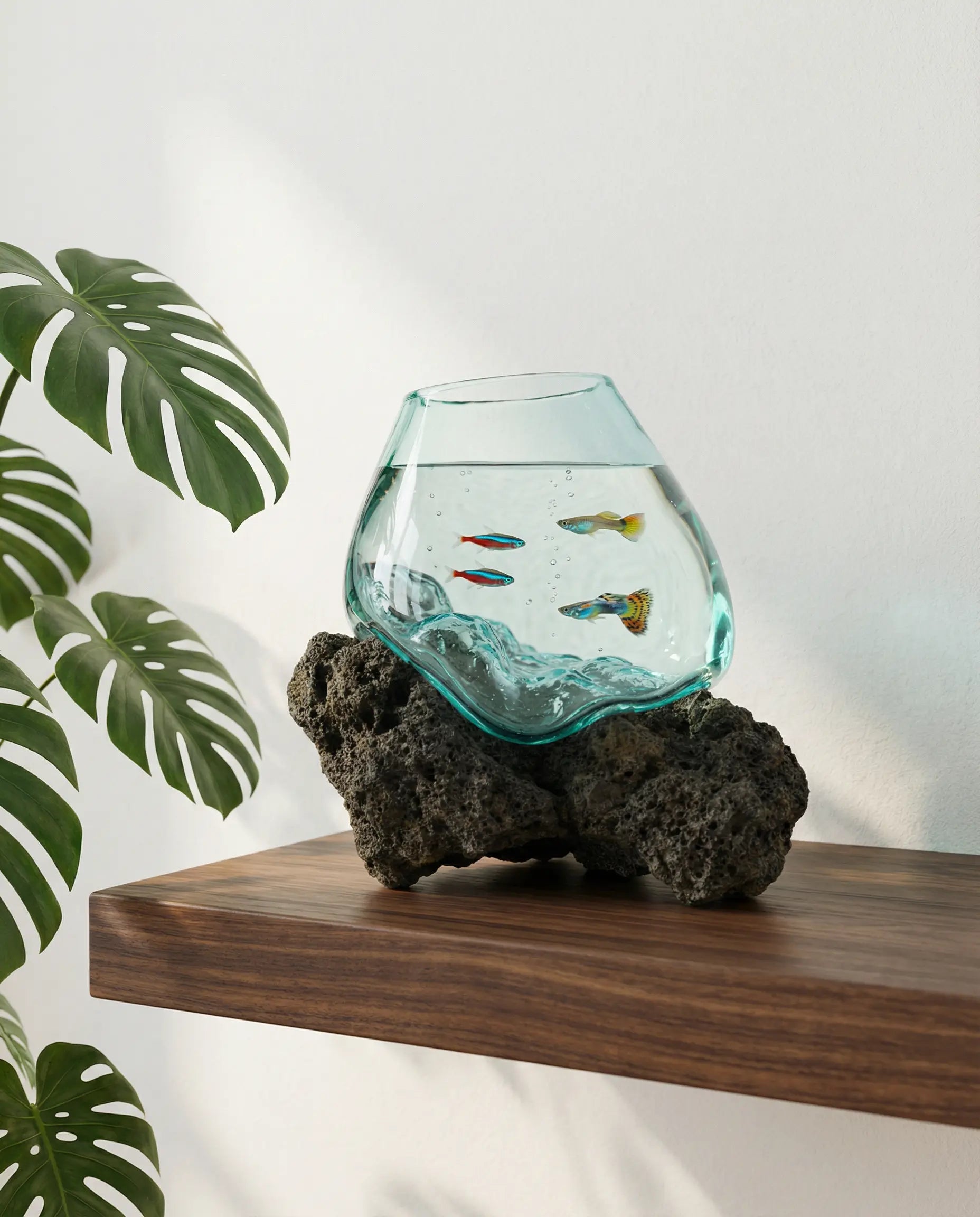 Glass Aquarium on Stone