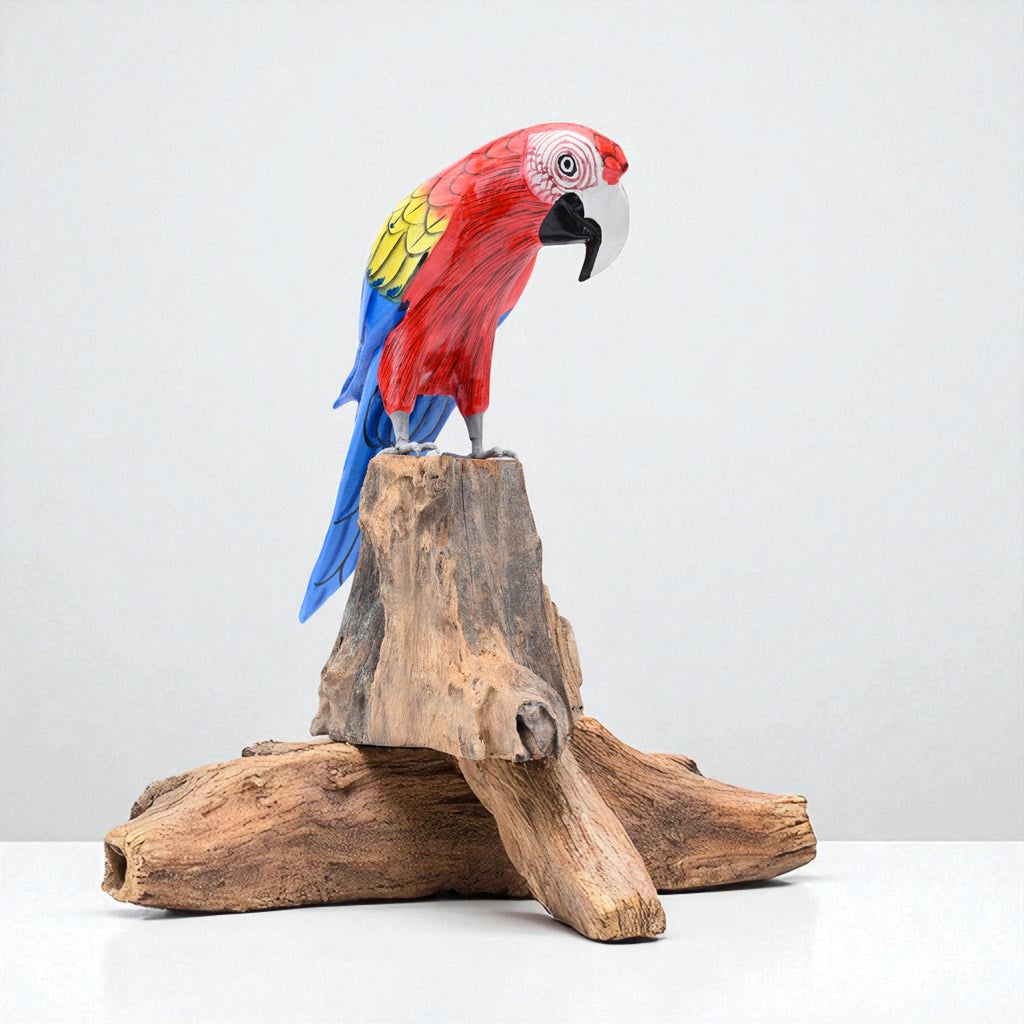 Scarlet Macaw image 5