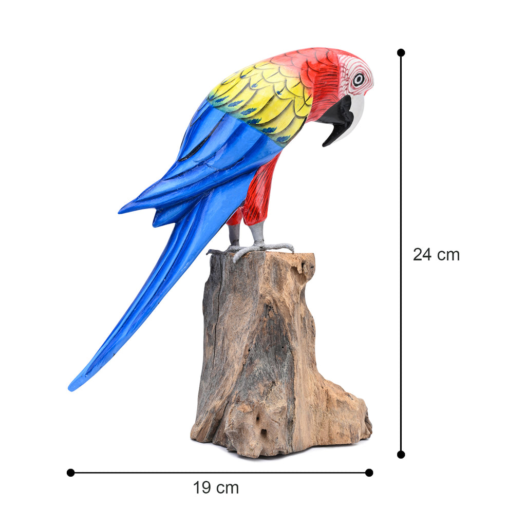 Scarlet Macaw image 4