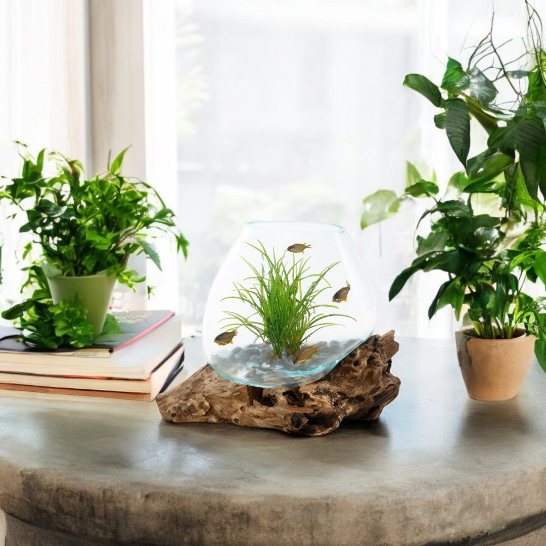 Glass Aquarium melted on Wood (Natural Wood finish) Glass Aquarium on Natural Drift wood (SMALL) image 2